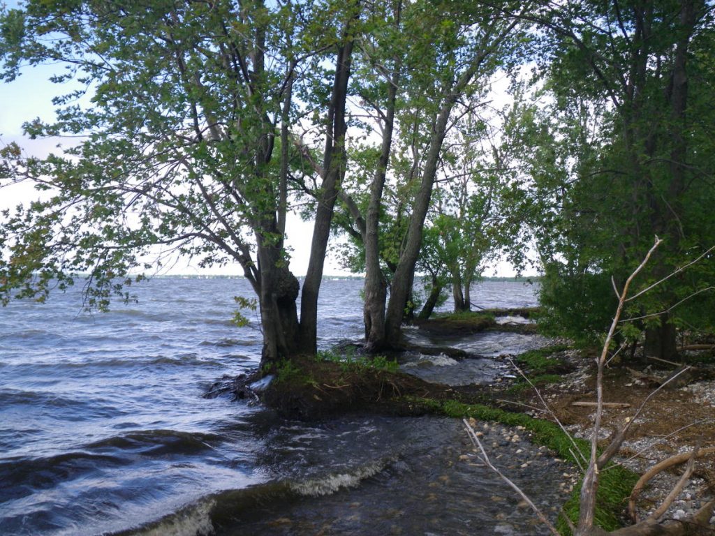Baie Missisquoi: l’organisme de bassin versant en assemblée générale le 19 juin