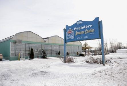 La Pépinière Jacques-Cartier restructure ses activités