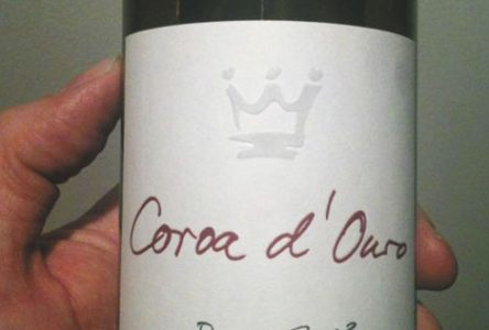 Coroa d’Ouro 2003: un vin portugais à un prix raisonnable