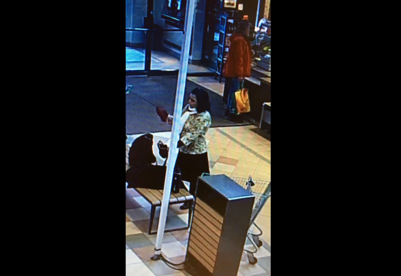 Les policiers recherchent une voleuse de sac d’épicerie