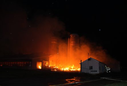 Une ferme laitière rasée par le feu à Noyan