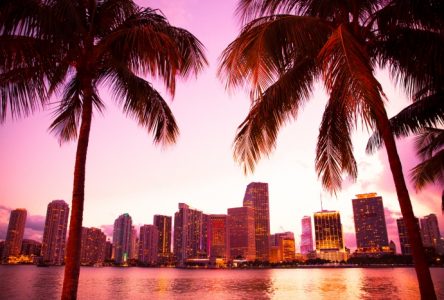 La meilleure période de l’année pour visiter Miami