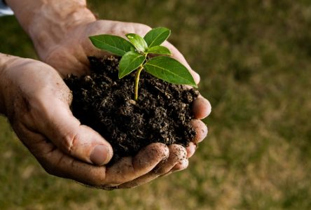 L’importance de la décontamination des sols