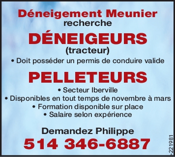 Logo de DÉNEIGEURS / PELLETEURS