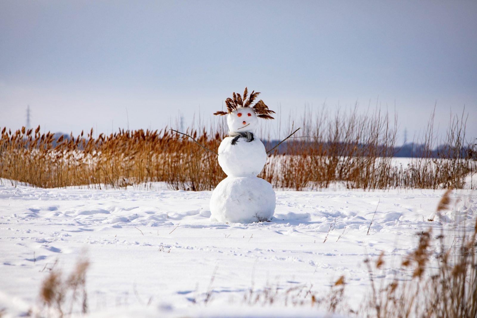 Concours de bonhommes de neige à Saint-Jean-sur-Richelieu