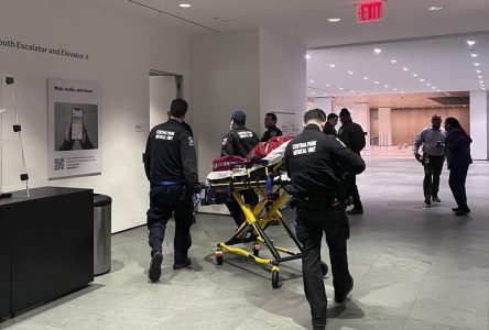 Deux employés d’un musée de New York poignardés: le suspect recherché