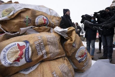 Le Canada peut reprendre bientôt les exportations de pommes de terre vers les É.-U.