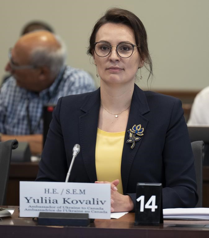 Turbines de gazoduc: l’ambassadrice ukrainienne réclame une révocation de l’envoi