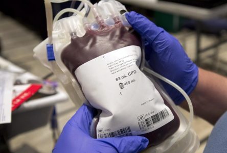 La Société canadienne du sang envisage les dons rémunérés de plasma