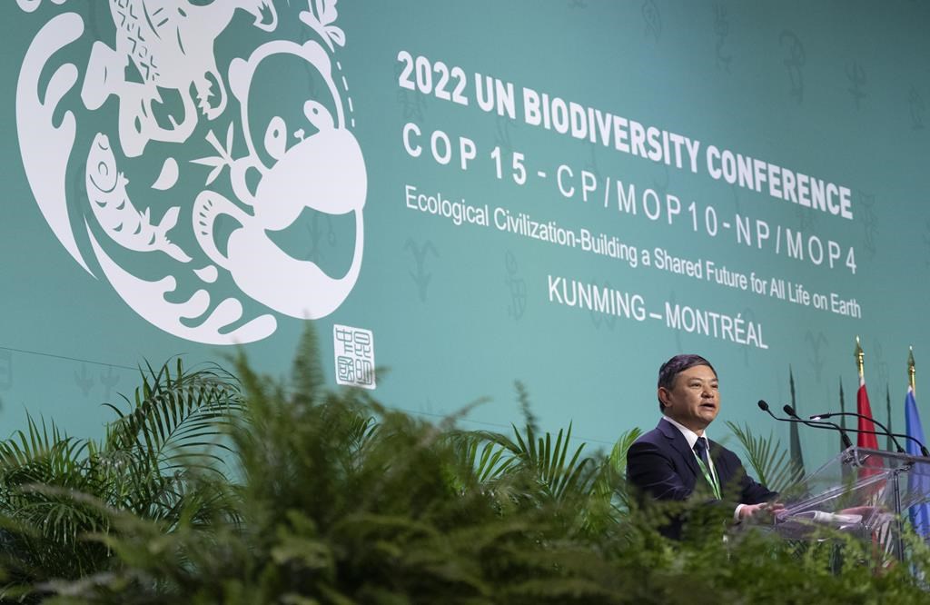 COP15 : ll reste 1400 «crochets» à retirer avant de s’entendre sur une déclaration