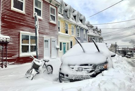 T.-N-L.: les habitants de St-John’s dans la neige jusqu’au genou dimanche