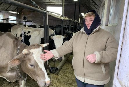 Le modèle québécois de coopérative laitière d’Agropur a été exporté en Ukraine