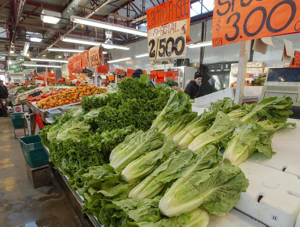 Le prix des paniers de légumes légèrement en hausse, mais sous l’inflation