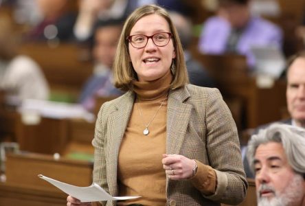 Ottawa promet des remboursements d’impôt à temps pour les déclarations en ligne