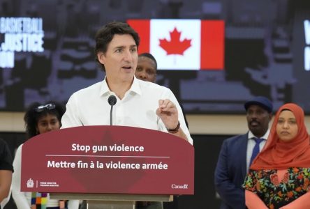Le gouvernement crée la Journée nationale contre la violence liée aux armes à feu