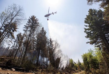 Nouvelle-Écosse: les incendies font rage, dont le plus large de l’histoire