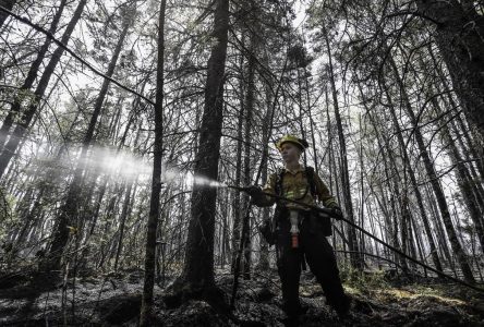 Des centaines de pompiers internationaux en renfort pour combattre les feux au Canada