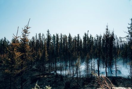 La fumée des feux de forêt touche la Montérégie