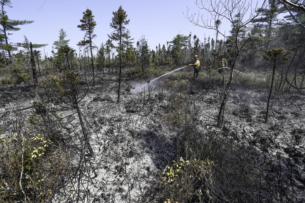 Le gigantesque feu de forêt en Nouvelle-Écosse est «contenu» pour l’instant