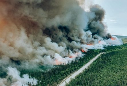 L’Abitibi-Témiscamingue et le Nord-du-Québec les plus touchés par les feux de forêt