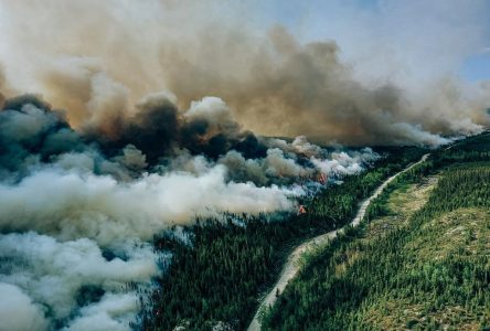 L’incendie de Normétal, en Abitibi-Témiscamingue, est contenu, dit la SOPFEU