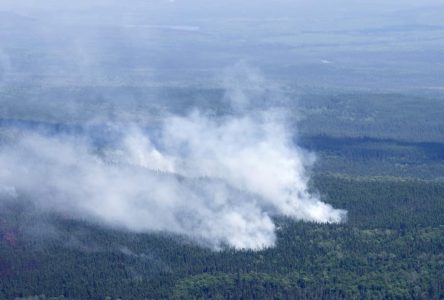 Incendies de forêt: 10 fois plus d’hectares brûlés que la moyenne sur 10 ans