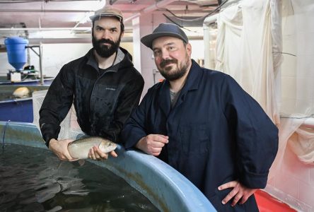 Une ferme d’aquaculture montréalaise livre ses produits par vélo électrique