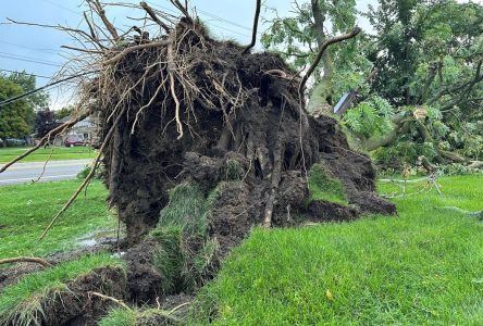 Des intempéries et des tornades font cinq morts au Michigan
