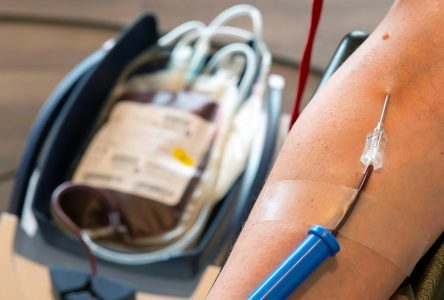 Dons de sang: assouplissements par Héma-Québec pour attirer de nouveaux donneurs