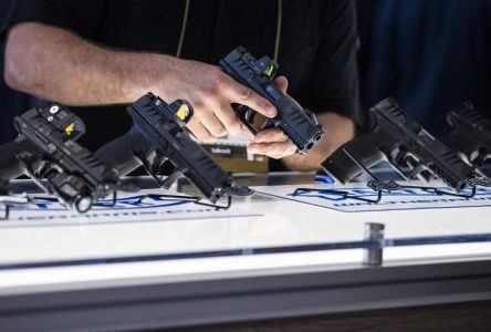 Le Sénat adopte un projet de loi qui renforce le gel des armes de poing