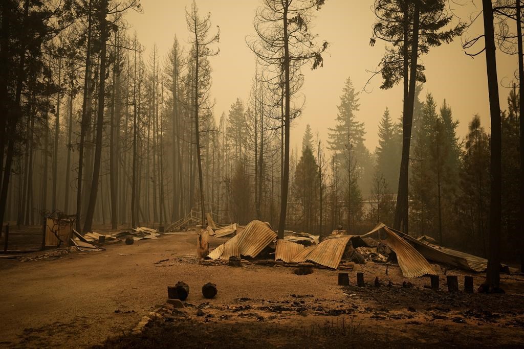 Les propriétaires pourraient réduire les risques d’incendies de forêt, dit une étude