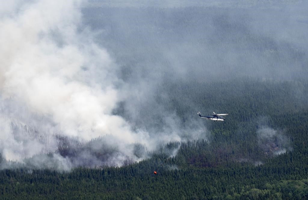 Les feux de forêt ont «marqué l’actualité en 2023», selon les rédactions