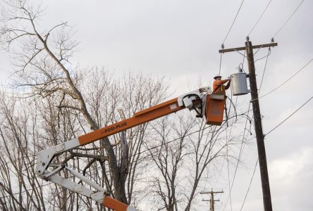 Plus de 1000 foyers demeurent privés d’électricité au Nouveau-Brunswick
