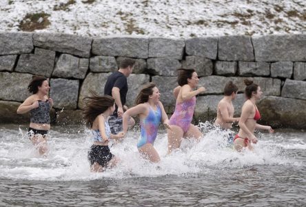 Des Canadiens soulignent la nouvelle année avec la baignade de l’ours polaire