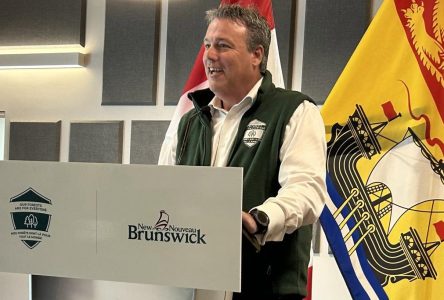 Une ministre se retire du cabinet de Blaine Higgs, au Nouveau-Brunswick