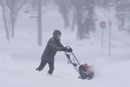 La tempête de neige qui s’abat sur la N.-É. a causé plus de 1100 pannes de courant