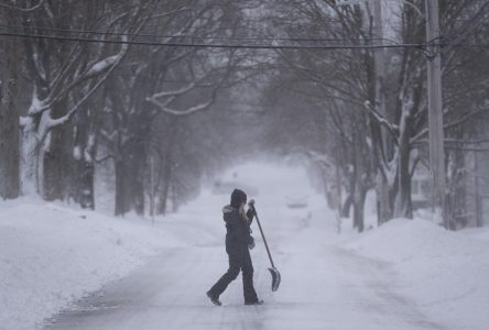 Une tempête de neige provoque l’arrêt des services de transport en Nouvelle-Écosse