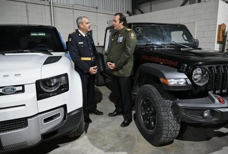 La police a récupéré dans le port de Montréal 598 véhicules volés, surtout en Ontario