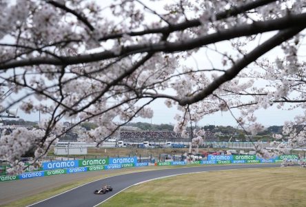 Contraint à l’abandon en Australie, Max Verstappen veut rebondir au Japon