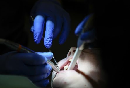Le ministre Holland est «insultant», disent les dentistes du Québec