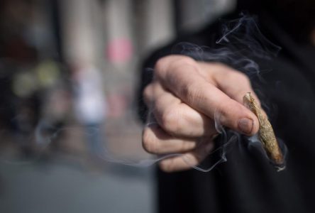 Baisse de la proportion de Québécois qui consomment du cannabis, selon l’ISQ