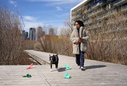Parcs Canada retire des poubelles le long du canal Lachine pour sensibiliser