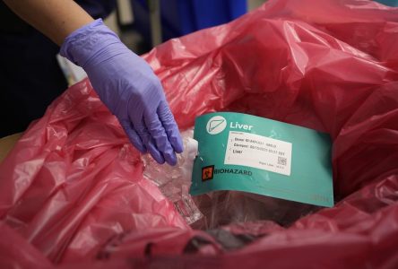 Près de 80 % des Québécois veulent une loi sur le don d’organes