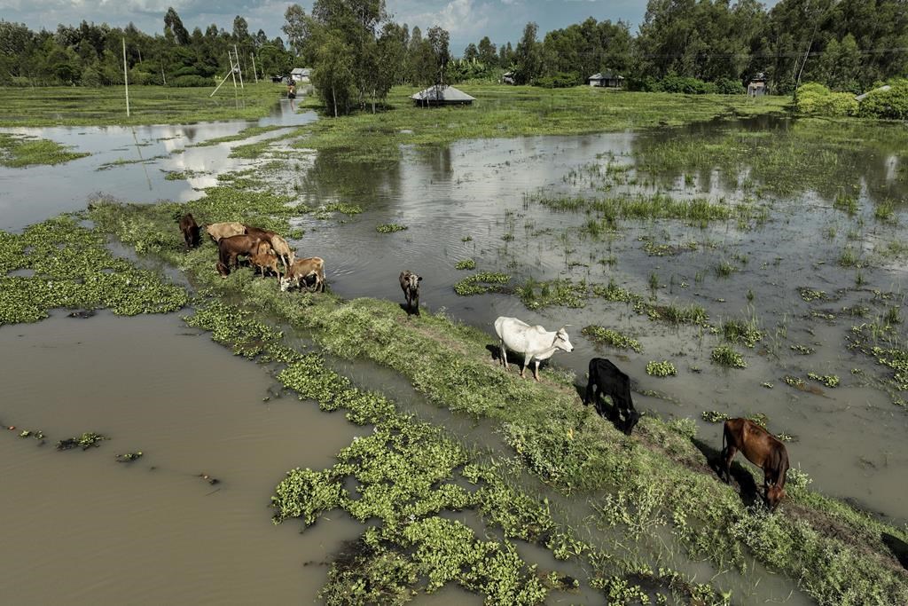 L’Afrique de l’Est est dévastée par des inondations
