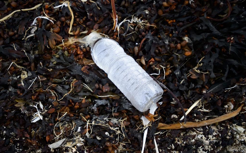 Des milliards de bouteilles en plastique se retrouvent dans l’environnement canadien