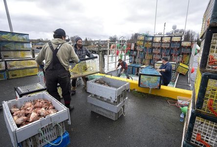 La saison de pêche au homard a débuté samedi en Gaspésie