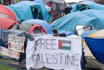 Des universitaires israéliens se défendent face aux campements