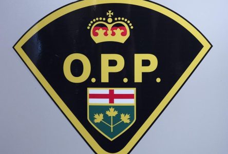 Ontario: des dizaines d’arrestations liées à des abus sexuels contre des enfants