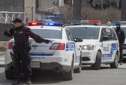 La police saisit pas moins de 100 kg de cocaïne dans un condo du Vieux-Montréal