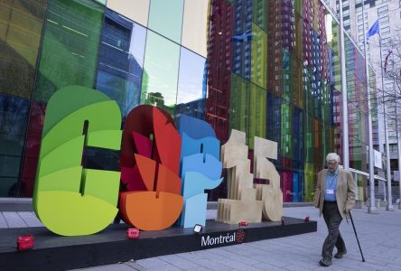 Finance Montréal lance le Centre de Montréal pour le financement de la biodiversité